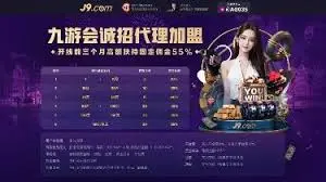 风险控制与合规运营建议